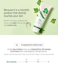 Load image into Gallery viewer, Round Lab Mugwort Calming Cleanser